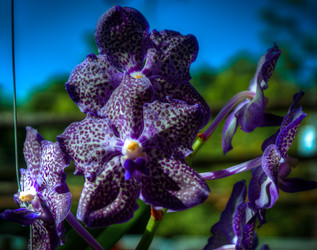 Similar image 5937285