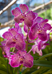 Similar image 5937289