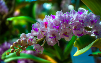 Similar image 5937293