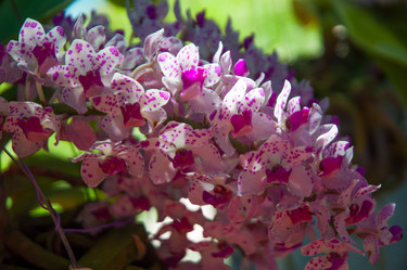 Similar image 5937294