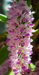 Similar image 5937295