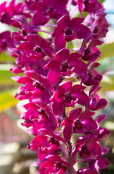 Similar image 5937297