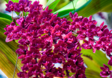 Similar image 5937298