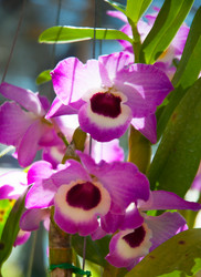 Similar image 5937299