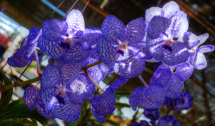 Similar image 5937303