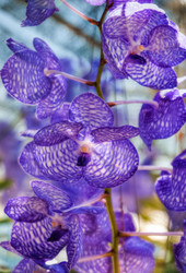 Similar image 5937305