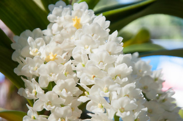 Similar image 5937306