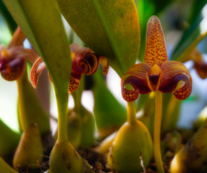 Similar image 5937308