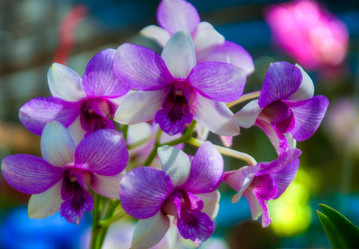 Similar image 5937311