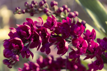 Similar image 5937312