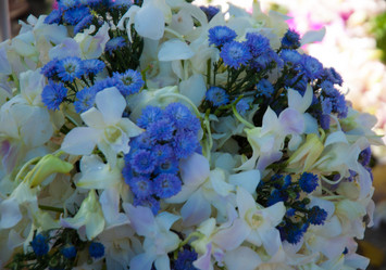 Similar image 5937313