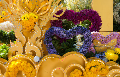 Similar image 5937318