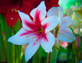 Similar image 5937320