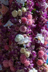 Similar image 5937321