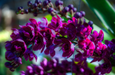 Similar image 5937323