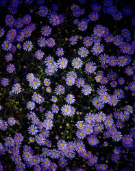 Similar image 5937326