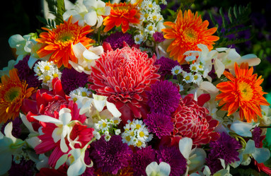 Similar image 5937329