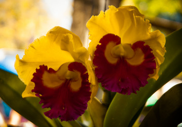 Similar image 5937331