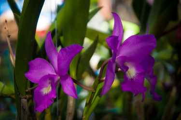 Similar image 5937332