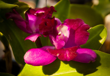 Similar image 5937333