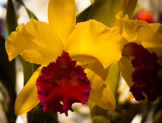 Similar image 5937334