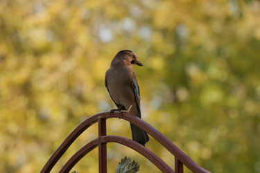 Similar image 5937615