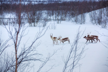 Similar image 5938199