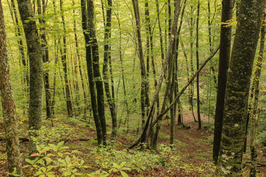 Similar image 5938230