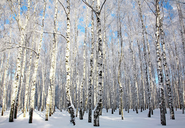 Similar image 5938274