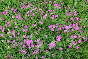 Similar image 5938281