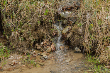 Similar image 5938323