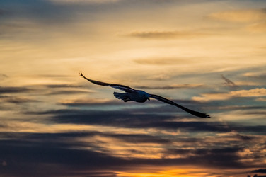 Similar image 5938470