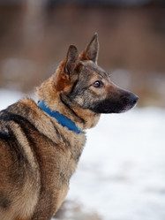 Similar image 5938514