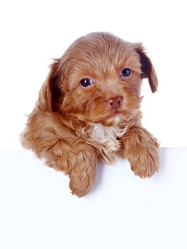 Similar image 5938515