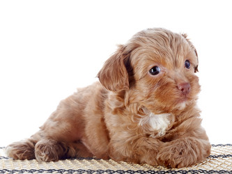 Similar image 5938528