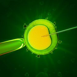 Similar image 5938557