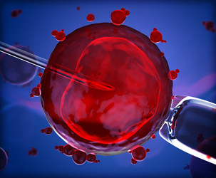 Similar image 5938561