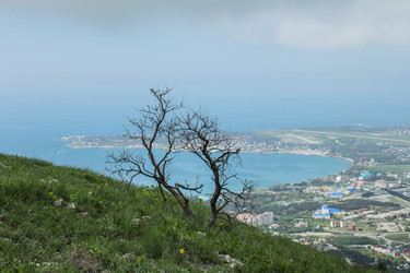 Similar image 5938618