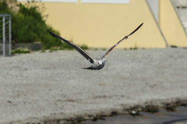 Similar image 5938622