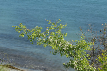 Similar image 5938624