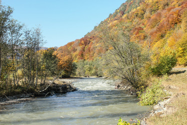 Similar image 5938639