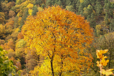 Similar image 5938642