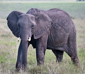 Similar image 5938746