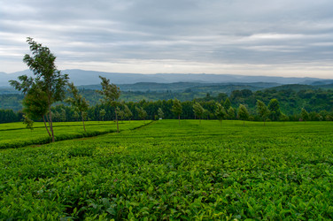 Similar image 5938764