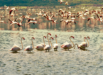 Similar image 5938772