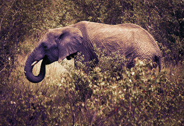 Similar image 5938782