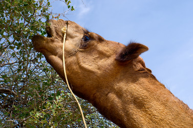 Similar image 5938799