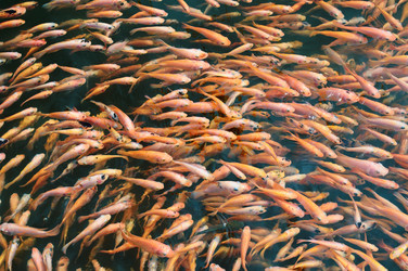 Similar image 5938979