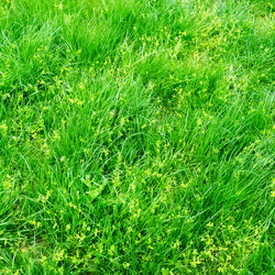 Similar image 5939319