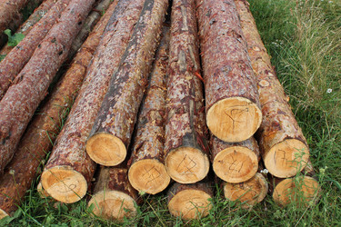 Similar image 5939352